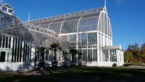 palmhuis 460x260