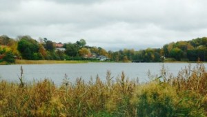 zweden bergmeer 460x260